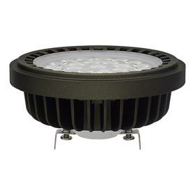 LDM-AR111 20W BY CW GRY