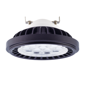 LDM-AR111-1201 17W DL GRY