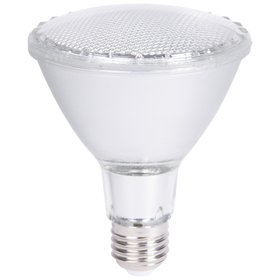 LED-PAR30-12W WW