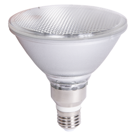 LED-PAR38-15W WW