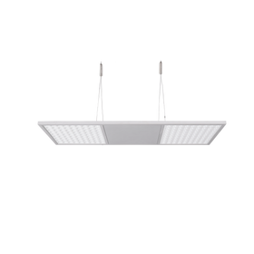 LM/P-202B CW