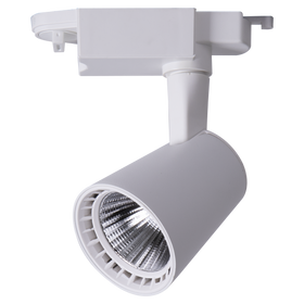 LTL02-100-30W WW WHT