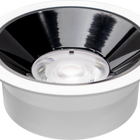 DL05-170-30W-WHT WW
