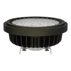 LDM-AR111 20W BY CW GRY