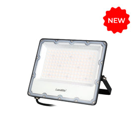 LED-FL02-100W BLK DL